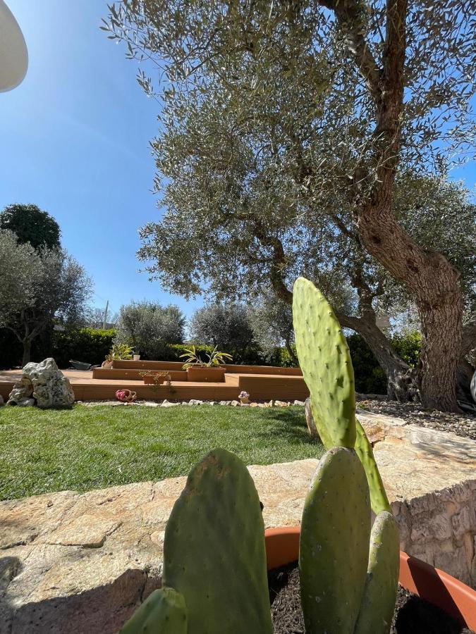 Villa Dama Cisternino Exterior photo