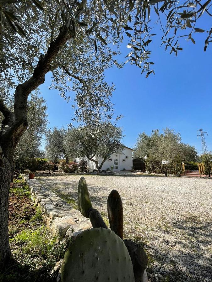 Villa Dama Cisternino Exterior photo
