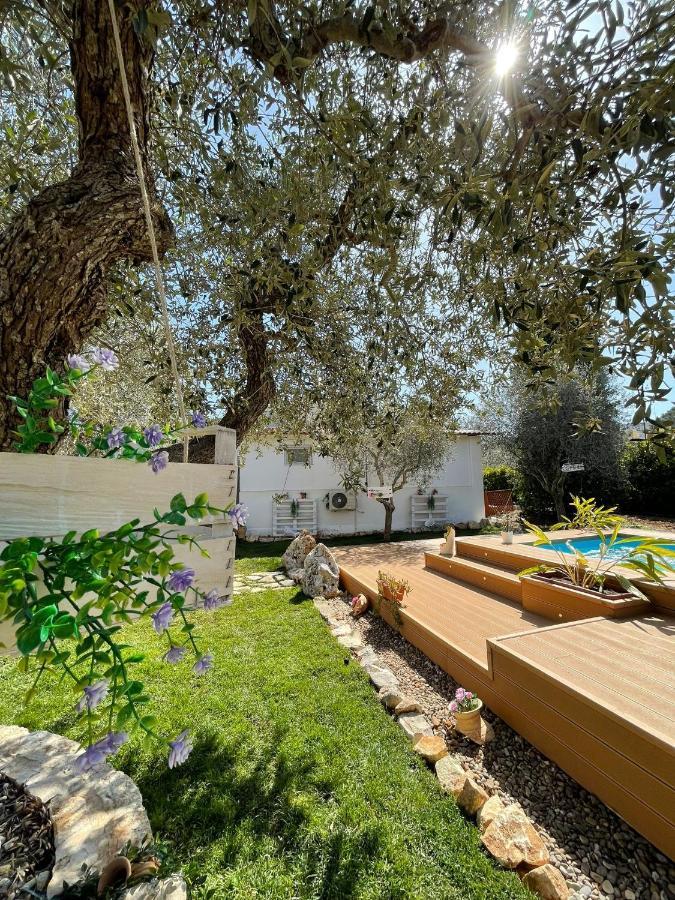 Villa Dama Cisternino Exterior photo